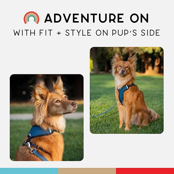 Dog Harness, Puppy Harness, Soft Harness for Dogs, Comfortable Dog Harness, Small Dog Harness, Dog Harness with Padding, Snug Fit Design, 4 Point Adjustable - Wildebeest (XS - 15~20 inch Girth, Navy)