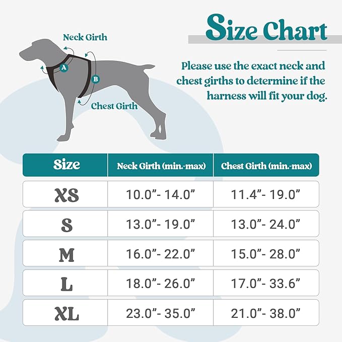 rabbitgoo Dog Harness, No-Pull Pet Harness with 2 Leash Clips, Adjustable Soft Padded Dog Vest, Reflective No-Choke Pet Oxford Vest with Easy Control Handle for Large Dogs, Blue Coral, L
