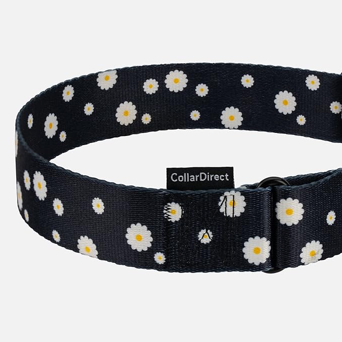 CollarDirect Martingale Collars for Dogs Heavy Duty Floral Pattern Female Safety Nylon Training Wide Collar Flower Design Large Medium (L, Neck Size 15"-20", Black)