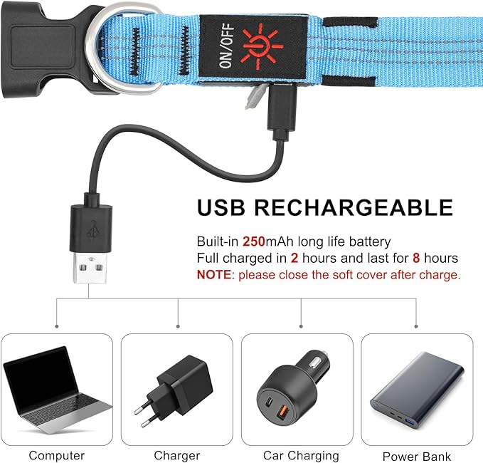 Light Up Dog Collar - BSEEN LED Dog Collar Rechargeable Lighted Dog Collar Reflective Glow Collars for Dogs, Super Bright Dog Lights for Night Walking (Blue-II, Large)