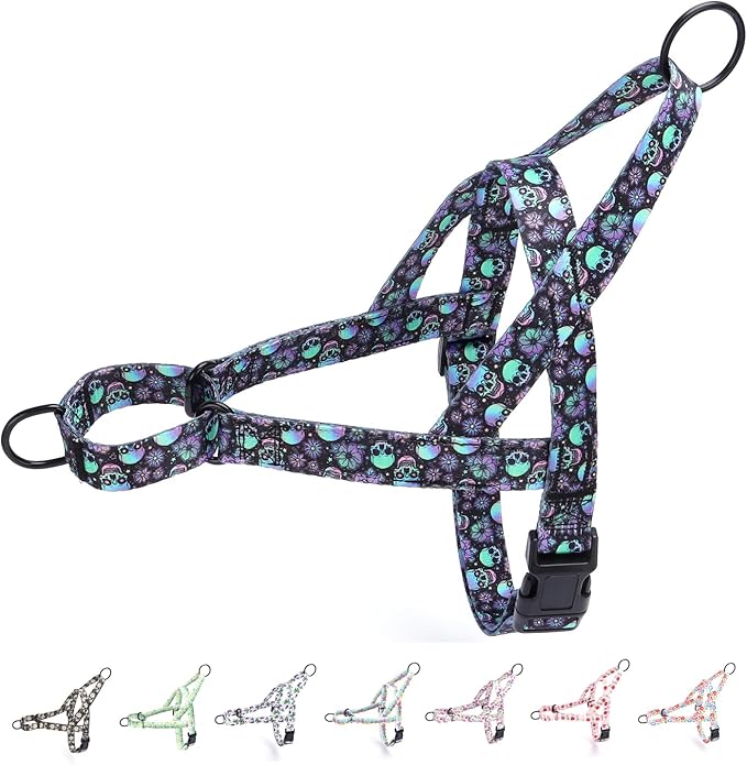 No Pull Dog Harness for Small, Medium, and Large Pets - Floral Pattern Nylon Safety Training Dog Harness (XS, Skull)