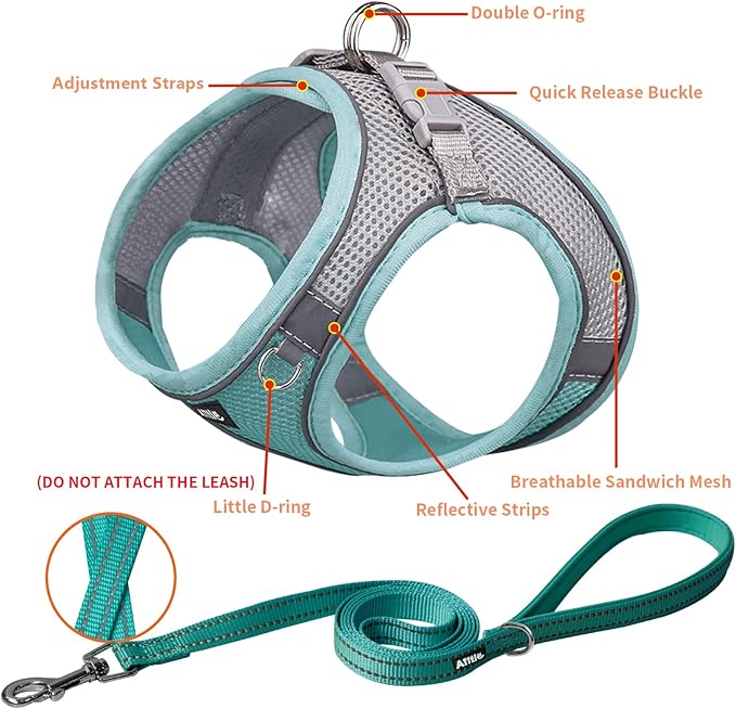 AIITLE Escape Proof Dog Harness - Step in Adjustable Dog Harness No Choke Over with Breathable Mesh for Spring- Outdoor Walking, Camping, Training for Medium Dogs Turquoise XL