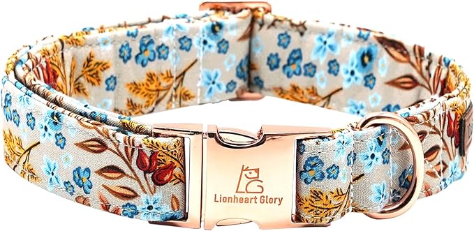 Lionheart glory Premium Dog Collars Fall Dog Collar, Heavy Duty Adjustable Dog Collar for Medium Dogs Maple Leaf Dog Collar