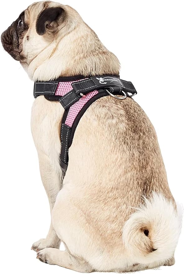 No Pull Reflective Adjustable Dog Harness With Handle- Comfortable Soft All Weather Mesh, Easy On Puppy Harness For Small Medium and Large Dogs (Pink) Small