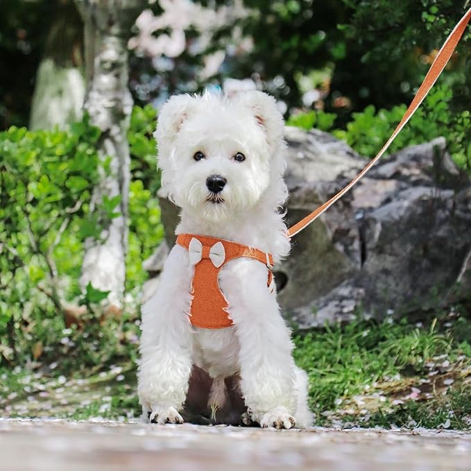 Beirui Small Dog Harness and Leash Set, Soft Lightweight Puppy Harness, Adjustable Bow Tie Puppy Harness for Small Dogs (Orange, XS)
