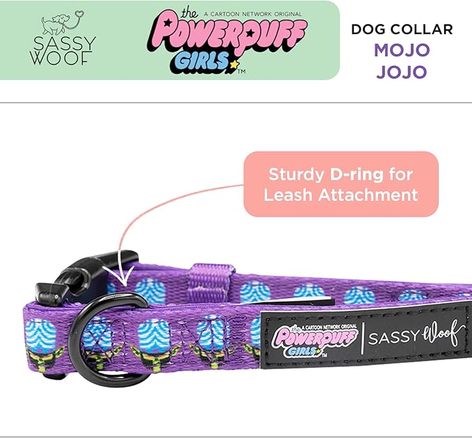 Mojo JoJo™ - S, Dog Collar, Adjustable, Durable, Comfortable and Stylish Pet Accessories for Small Dogs