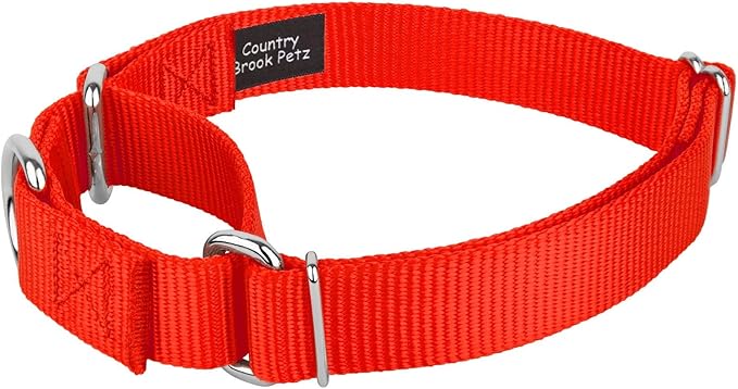 Country Brook Petz 1 1/2 Inch Martingale Heavy Duty Nylon Adjustable Dog Collar for Small, Medium, Large Breeds - Vibrant 17 Color Selection (Hot Orange, Extra Large)