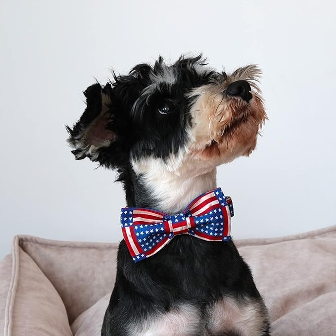 Lionet Paws Patriotic Dog Collar with Bowtie, 4th of July, Soft and Comfortable Adjustable American Flag Bowtie Collar for Dogs Male Female Gift, Small, Neck 10-16 inches