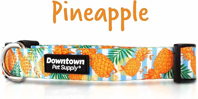 Downtown Pet Supply - Best, Cute & Fancy Dog Collar - Lightweight Adjustable Dog Collar with Quick Buckle & D-Ring - Hand Wash Safe - Pineapple - M - Medium Dog Collar