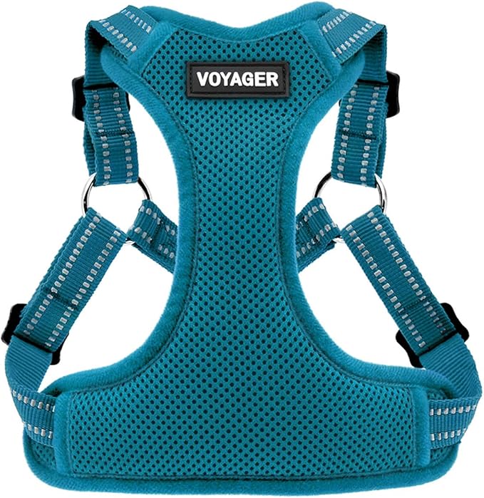 Best Pet Supplies Voyager Adjustable Dog Vest Harness Breathable No Pull Harness for Small, Medium, Large Dogs, Harness for Walking, Jogging, Easy Step-in, Reflective Stripes - (Turquoise), L