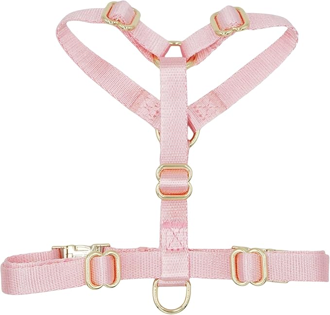 Nylon No Pull Dog Harness with Gold Metal Buckles,Easy Walking and Training Dog Harness (Pink, S)
