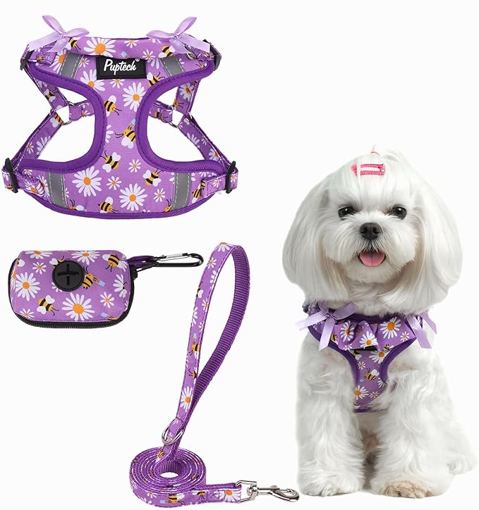 PUPTECK No Pull Dog Harness and Leash Set Reflective No Choke Step in Puppy Halter for XS Small and Medium Sized Dogs, Purple, Printed Fabric, XS