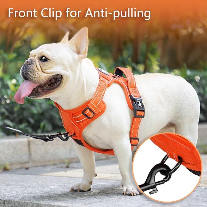 PoyPet No Pull Dog Harness, No Choke Reflective Dog Vest, Adjustable Pet Harnesses with Easy Control Padded Handle for Small Medium Large Dogs(Orange Matching Trim,S)