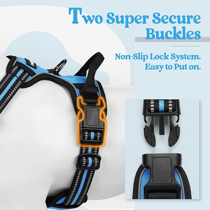 rabbitgoo Dog Harness, No-Pull Pet Harness with 2 Leash Clips, Adjustable Soft Padded Dog Vest, Reflective No-Choke Pet Oxford Vest with Easy Control Handle for Medium Dogs, Blue, M