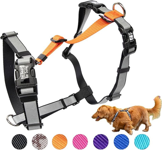 No Pull Harness with Fully Customizable Fitment for XS Dogs - 3M Reflective Heavy Duty Harness for Walking & Training - No Choke Comfortable Collar Design, Made in USA XS-Orange
