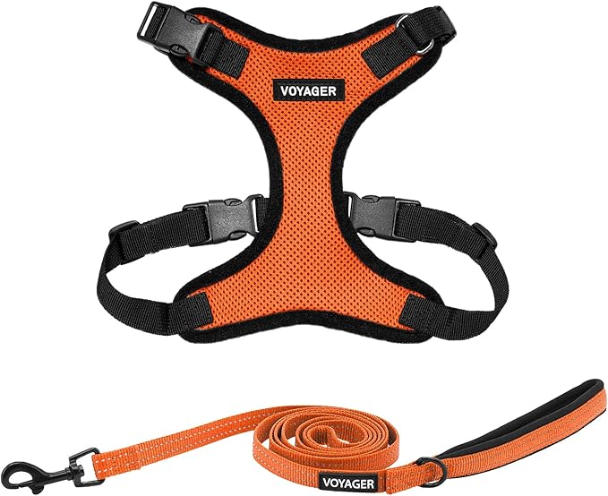Voyager Step-in Lock Dog Harness w Reflective Dog Leash Combo Set with Neoprene Handle 5ft - Supports Small, Medium and Large Breed Puppies/Cats by Best Pet Supplies - Orange/Black Trim, S