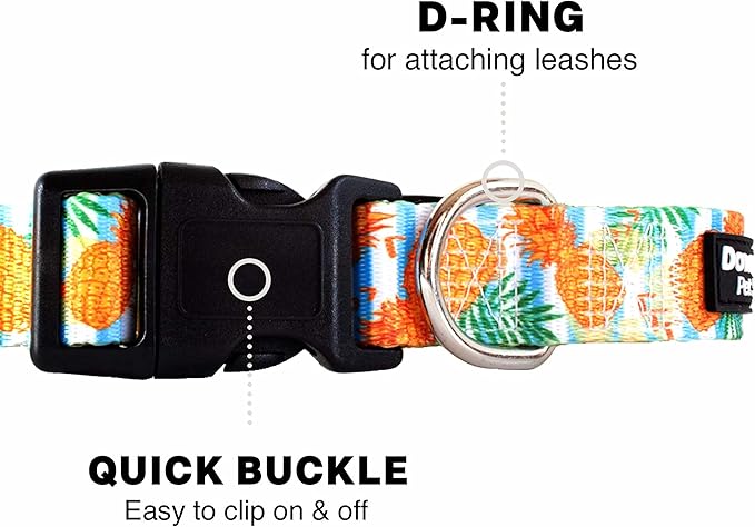 Downtown Pet Supply - Best, Cute & Fancy Dog Collar - Lightweight Adjustable Dog Collar with Quick Buckle & D-Ring - Hand Wash Safe - Pineapple - L - Large Dog Collar