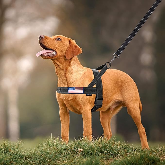 Annchwool No Pull Dog Harness with Padded Handle+5 Ft Leash,Reflective Strip Escape Proof and Quick Fit to Adjust Dog Harness,Easy for Training Walking for Small & Medium and Large Dog(Black-Set,M)