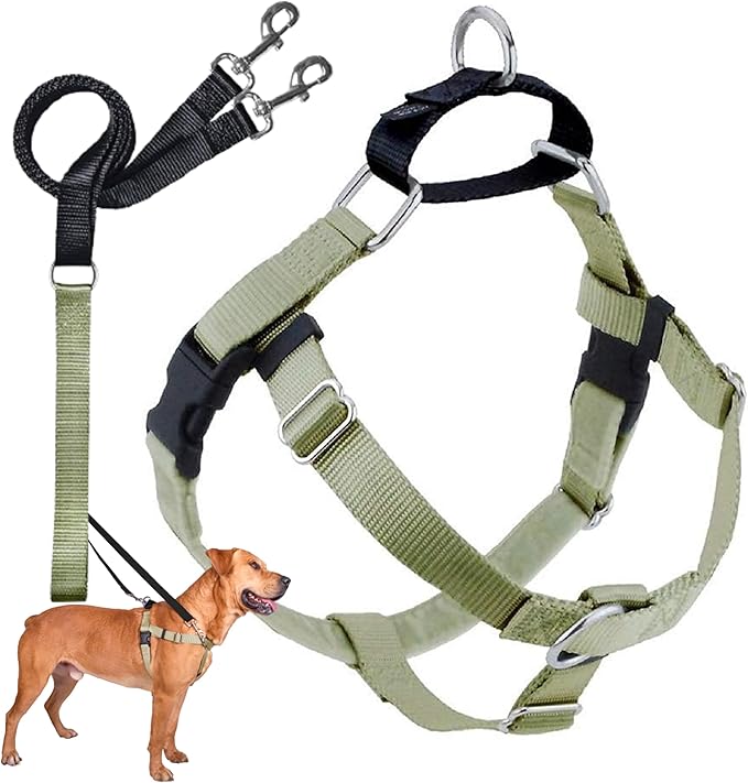 2 Hounds Design Freedom No Pull Dog Harness | Comfortable Control for Easy Walking |Adjustable Dog Harness and Leash Set | Small, Medium & Large Dogs | Made in USA | Solid Colors | 1" XL Tan