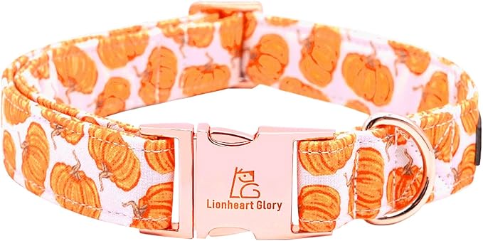 Lionheart glory Halloween Dog Collars Pumpkin Dog Collar Heavy Duty Adjustable Fall Dog Collar for Small Collar Dog Female or Male Dog Collar