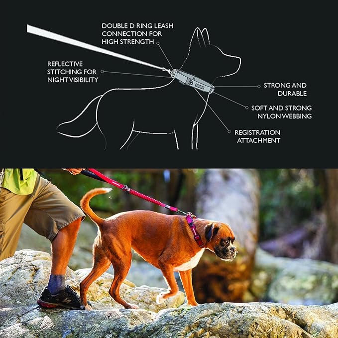 EzyDog Double Up Premium Nylon Dog Collar with Reflective Stitching - Double D-Rings for Superior Strength, Safety, and Comfortability - Non-Rusting and Includes an ID Attachment (Large, Red)