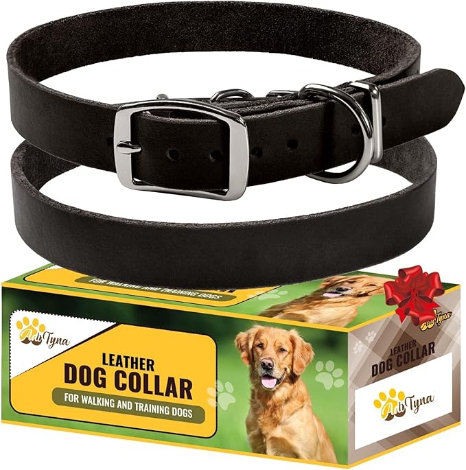 Adityna - Leather Dog Collar for Extra-Small Dogs and Puppies - Classic Style, Soft and Strong, Heavy Duty Black Leather Dog Collars for XSmall Dogs (XS - Neck: 10-13 inches, Black)