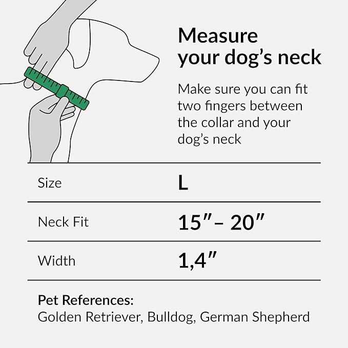 CollarDirect Martingale Collars for Dogs Heavy Duty Floral Pattern Female Safety Nylon Training Wide Collar Flower Design Large Medium (L, Neck Size 15"-20", Pink)