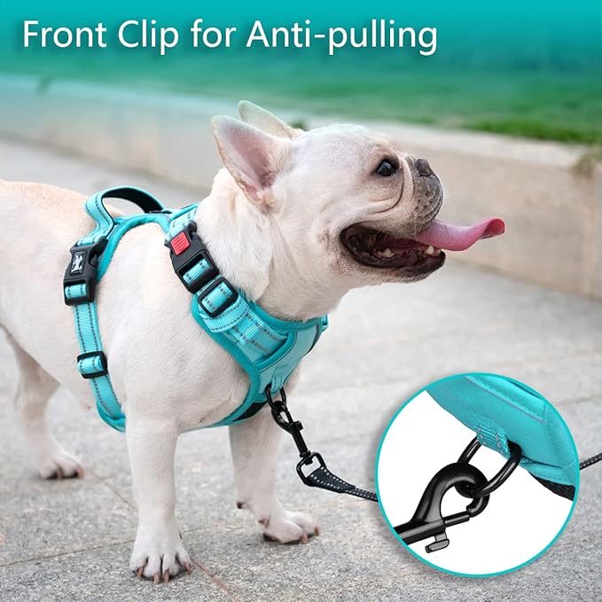 PoyPet No Pull Dog Harness, No Choke Reflective Dog Vest, Adjustable Pet Harnesses with Easy Control Padded Handle for Small Medium Large Dogs(Mint Blue Matching Trim,L)