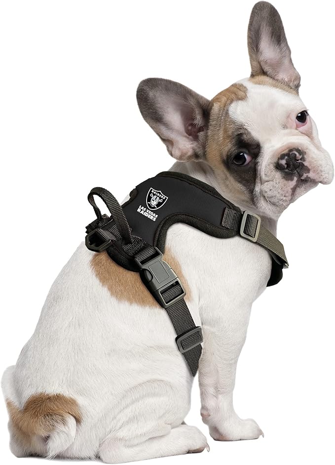 Littlearth Las Vegas Raiders NFL Front Clip Pet Harness