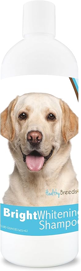 Healthy Breeds Labrador Retriever Bright Whitening Shampoo 12 oz