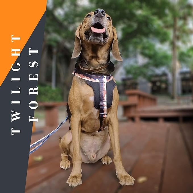 Casual H Dog Harness, No-Pull Pet Harness with 2 Leash Clips, Twilight Forest Gradiant Color, Adjustable Soft Padded Dog Vest for Small Medium Large Dogs (XL)