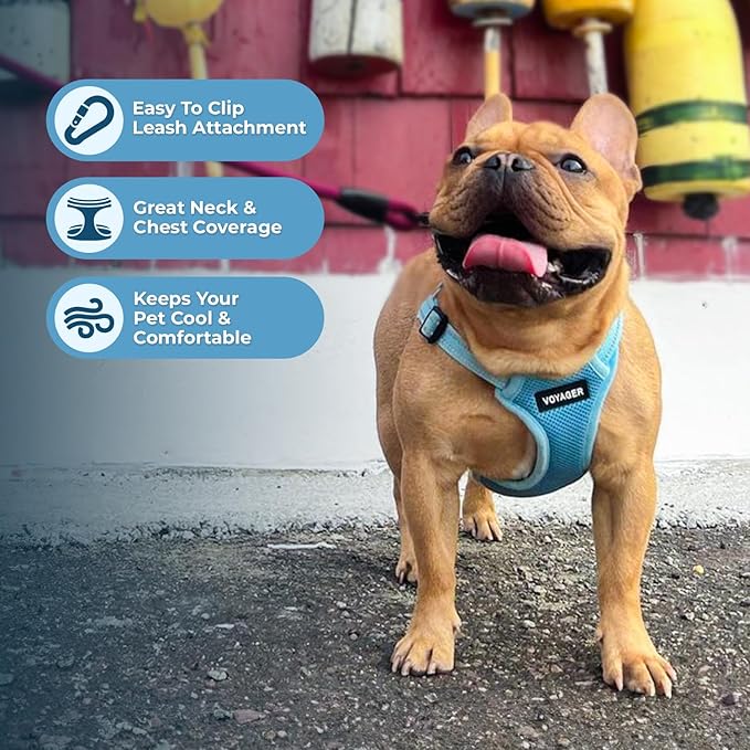 Best Pet Supplies Voyager Adjustable Dog Harness Leash Set with Reflective Stripes for Walking Heavy-Duty Full Body No Pull Vest with Leash D-Ring, Breathable All-Weather - Harness (Baby Blue), M