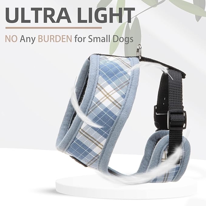 PUPTECK Soft Mesh Dog Harness and Leash Set Pet Puppy Cat Comfort Padded Vest No Pull Harnesses, Sky Blue, XS