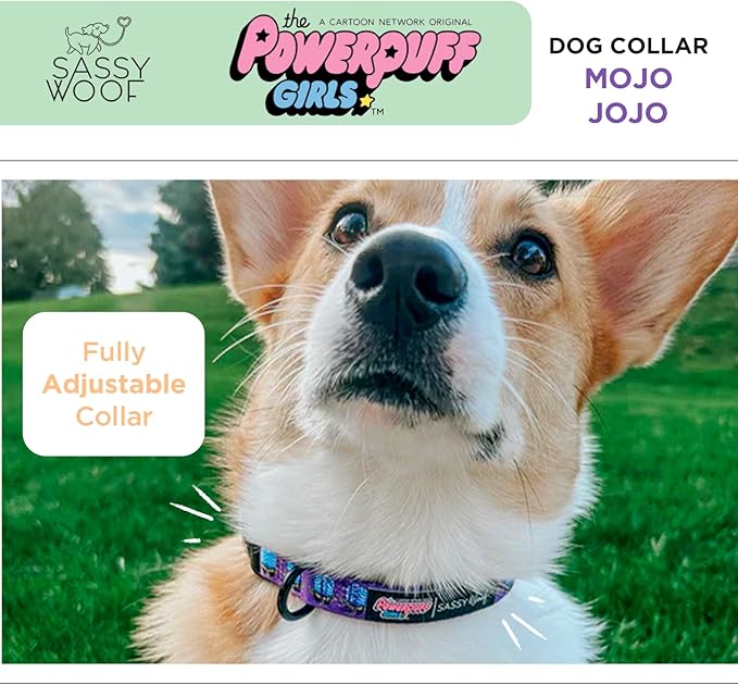 Mojo JoJo™ - S, Dog Collar, Adjustable, Durable, Comfortable and Stylish Pet Accessories for Small Dogs
