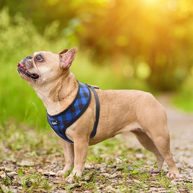 PUPTECK Soft Mesh Dog Harness and Leash Set Pet Puppy Cat Comfort Padded Vest No Pull Harnesses, Navy Blue, L