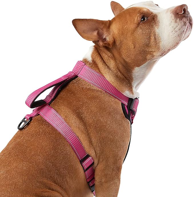 KONG Max Ultra Durable Neoprene Padded Chest Plate Dog Harness Offered by The Barker Company (Pink, XL)