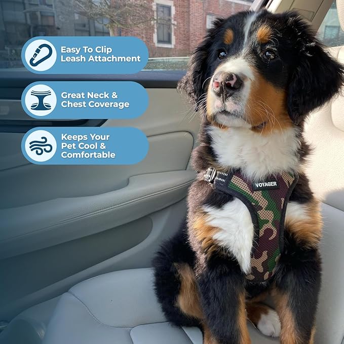 Voyager Step-in Lock Dog Harness w Reflective Dog Leash Combo Set with Neoprene Handle 5ft - Supports Small, Medium and Large Breed Puppies/Cats by Best Pet Supplies - Army/Black Trim, S