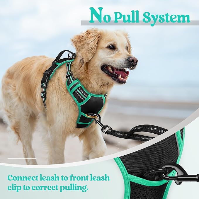 rabbitgoo Dog Harness, No-Pull Pet Harness with 2 Leash Clips, Adjustable Soft Padded Dog Vest, Reflective No-Choke Pet Oxford Vest with Easy Control Handle for Large Dogs, Black & Turquoise, L
