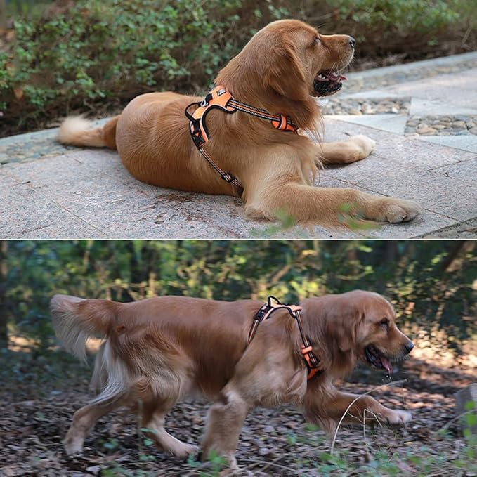 OLizee® New No Pull Dog Harness Outdoor Adventure Reflective Markings Pet Vest with Handle Adjustable Protective Nylon Walking Pet Harness Variety of Sizes and Colors,Orange XS