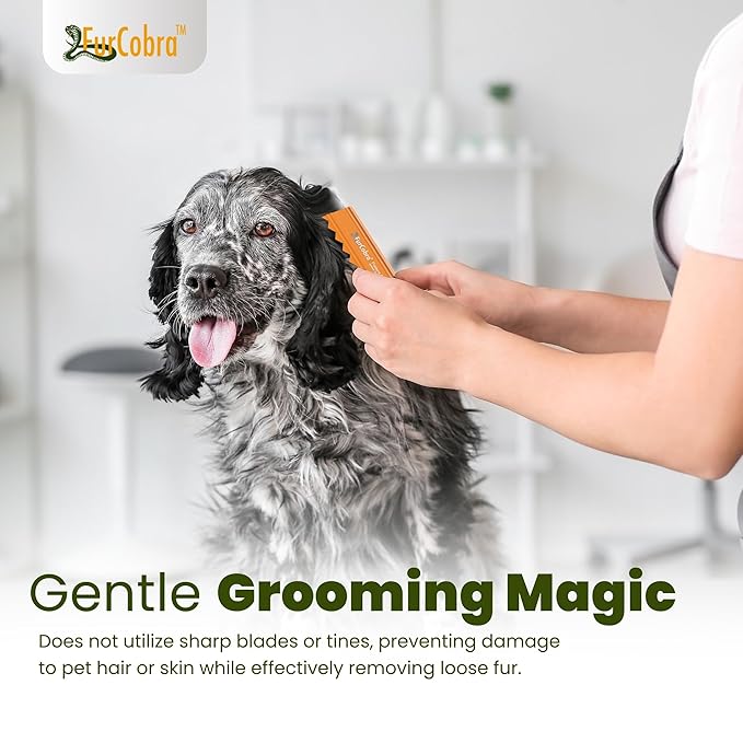 Direct 10 Pet Grooming Brush - Gentle, No Metal Blades, Soft Dog Brush, Cat Brush - Train Pets to be Brushed - Slicker Pet Brush, Puppy Brush, Kitten Brush, Cat Hair Brush, Dog Hair Brush