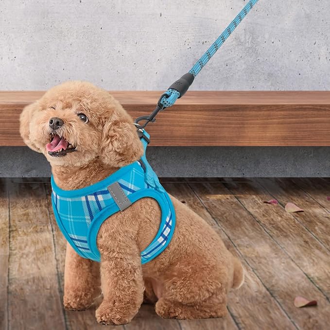 Athena Collection Step-in Dog Harness with 5 ft Leash, Small to Medium Dog Harness Leash Set Medium No Pull Dog Vest Harness with Reflective Strips Adjustable Velcro, Easy Walk Puppy Harness, Blue