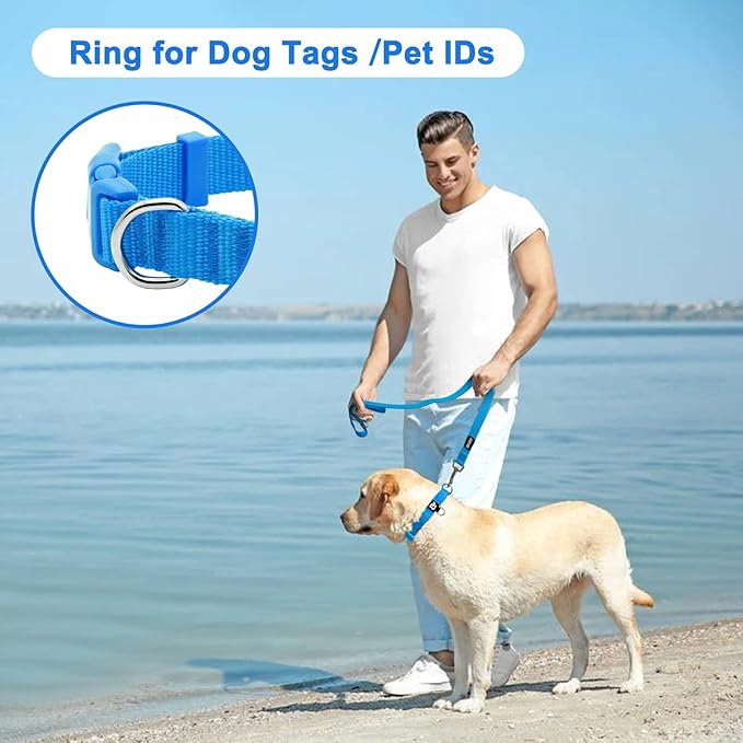 azuza 3 Pack Dog Collars Comfortable and Adjustable Nylon Dog Collars for Puppy Small Dogs, XS (8-12inch)，Green, Blue and Royal Blue