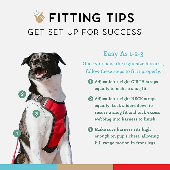 Dog Harness, Puppy Harness, Soft Harness for Dogs, Comfortable Dog Harness, Small Dog Harness, Dog Harness with Padding, Snug Fit Design, 4 Point Adjustable - Wildebeest (L - 26~32 inch Girth, Red)