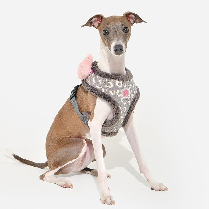 Pinkaholic New York Tailsy Dog Harness Over-The-Head Warm Winter Leopard Pattern Adjustable Chest for Small Dog, Grey, Large
