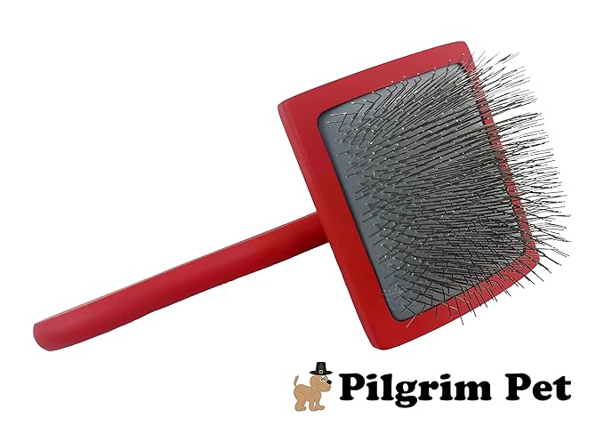 Professional Dog Slicker Brush - Fluff and Detangle (Large)
