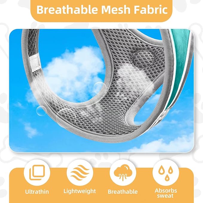 Dog Harness with Leash Set, Adjustable Soft Mesh Padded Reflective Dog Harnesse, Dog Leash with Soft Padded Handle, Puppy Harness and Leash Set for Walking,Training - Blue, XS