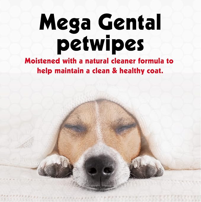 Petkin Mega PetWipes, 200 Wipes - Grooming Pet Wipes for Dogs and Cats - for Face, Paws, Ears, Body and Eye Area - Super Convenient Dog Cleaning Wipes, Ideal for Home or Travel - Easy to Use
