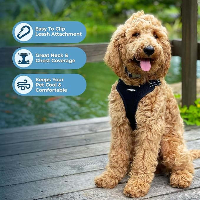 Best Pet Supplies Voyager Adjustable Dog Harness Leash Set with Reflective Stripes for Walking Heavy-Duty Full Body No Pull Vest with Leash D-Ring, Breathable All-Weather - Harness (Black), S