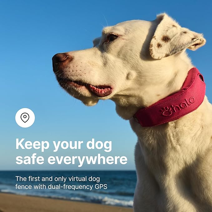 Halo Collar 4, All New GPS Wireless Dog Fence & Dog Training Collar with GPS Tracker, Subscription Required, Waterproof, One Size, Orchid