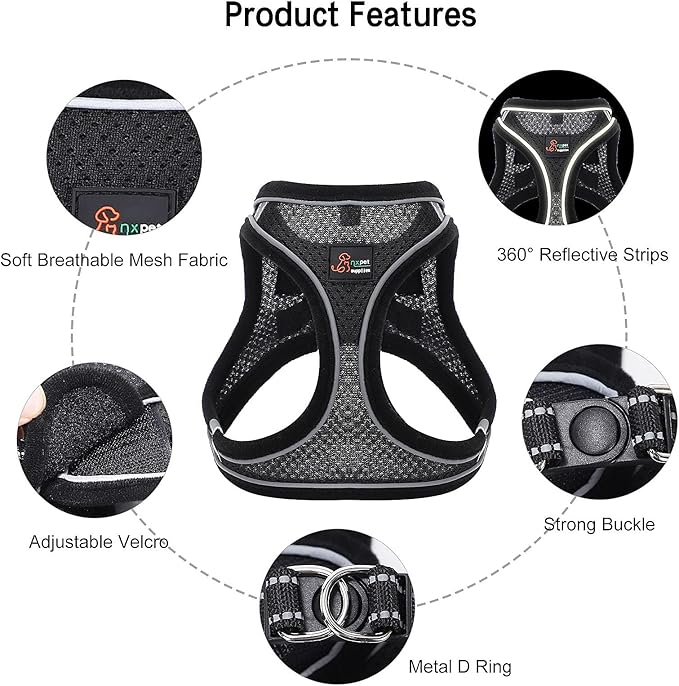 Step-in Air Dog Harness and Dog Leash- All Weather Mesh Step in Vest Harness for Small and Medium Dogs, Reflective Harness and 5FT Leash for Confident Walking at Night (Black,X-Large)